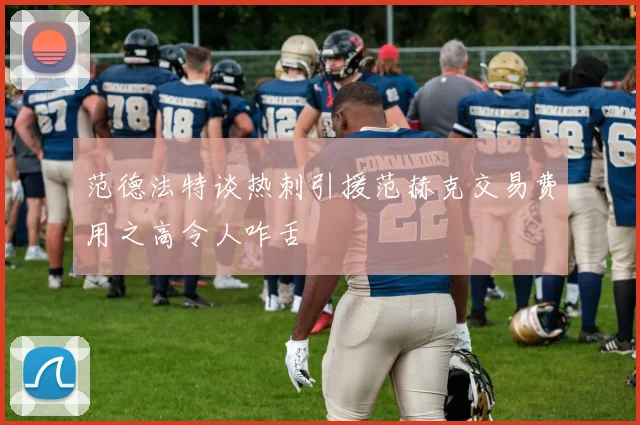 范德法特谈热刺引援范赫克交易费用之高令人咋舌