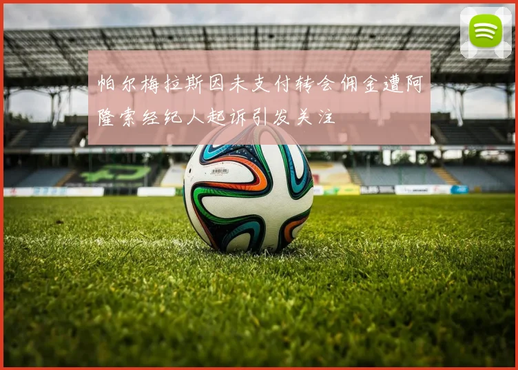 帕尔梅拉斯因未支付转会佣金遭阿隆索经纪人起诉引发关注