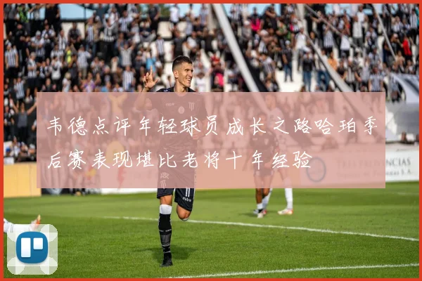 韦德点评年轻球员成长之路哈珀季后赛表现堪比老将十年经验